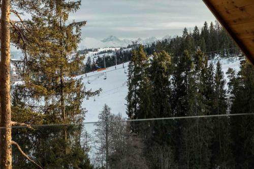 Apartamento Mountain Forest