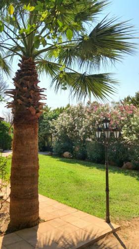 Hotel Cunda S?r Otel