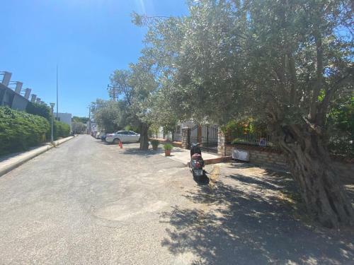 Apartamento Cute 2+1 Apt With Common Pool - Bodrum City Centre