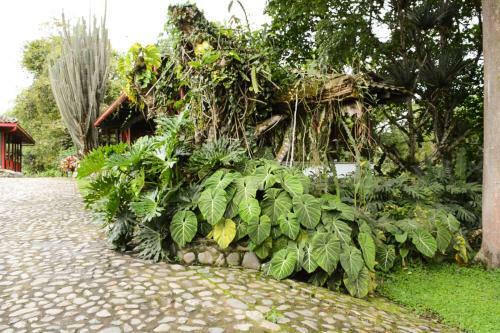 Bed & Breakfast Casa Museo Hacienda La Caba�a