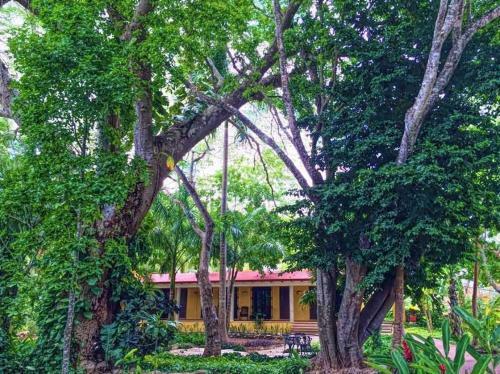 Hotel Hacienda Chichen Resort And Yaxkin Spa
