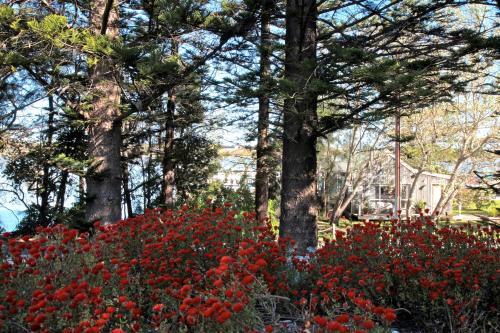 Bed & Breakfast Boathouse & Birks River Retreats