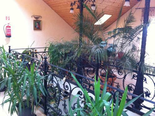 Bed & Breakfast Sarokhaz Panzio