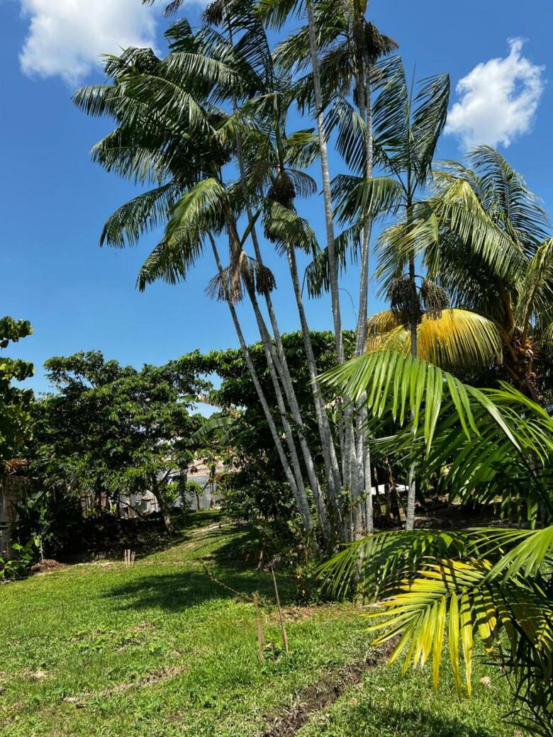 Bed & Breakfast Otorongo Guest House