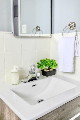 Apartamento Bright 1br King Apt - Near Dt Hamilton!