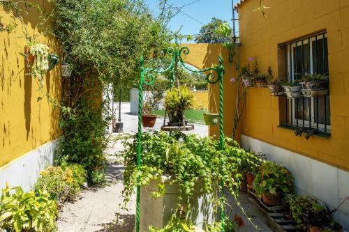 Chalet Con Piscina Privada, Jard�n Y Barbacoa
