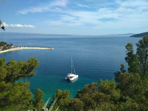 Apartamento Star Of The Sea 2