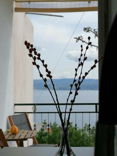Apartamento Star Of The Sea 2