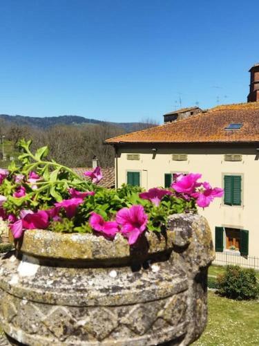 Apartamento La Casina Di Tina