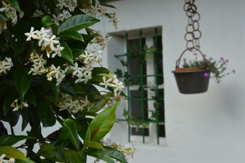 Holiday Apartment Il Giardino Di Elena
