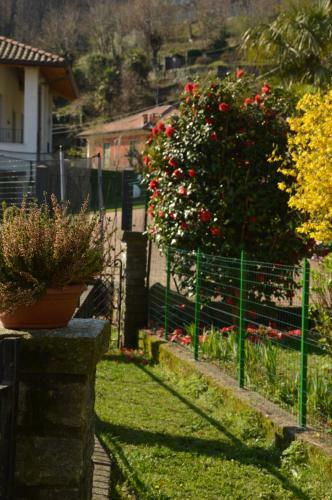 Holiday Apartment Il Giardino Di Elena
