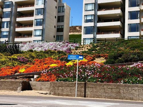 Apartamento Departamento En Puerto Velero