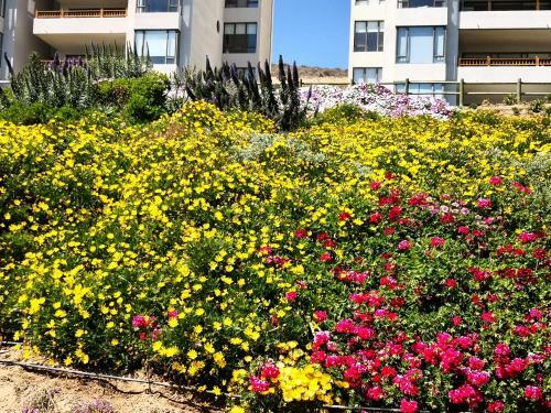 Apartamento Departamento En Puerto Velero