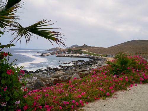 Apartamento Departamento En Puerto Velero