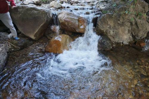 Sadhana Forest Villa (nestled In The Hills)