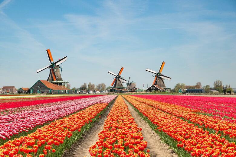 Hotel M�venpick Voorburg/den Haag�