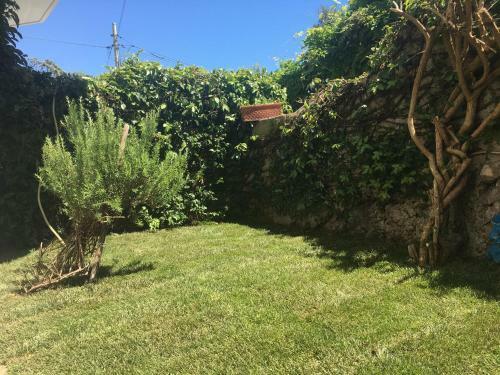 Apartamento Ruderi