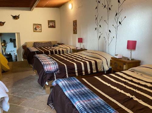 Jard�n Quinta Las Fuentes Caba�as, Valsequillo. Puebla