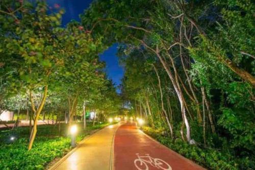 Jardines De Mayakoba Un Lugar En La Selva.