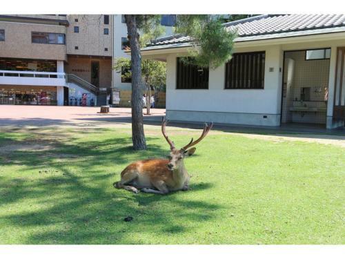 Hostal Apartment Sanjo - Vacation Stay 51330v