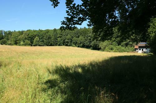 Apartamento Hausteil In Einer Waldlichtung Im Stadtwald