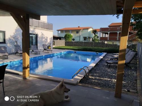 Apartamentos Enjoy Green, App With Large Swimming Pool