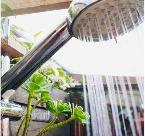 The Hideaway