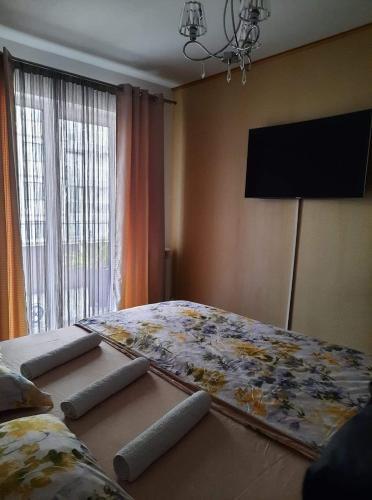 Apartament Manu Mau 10