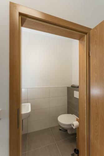 Apartamento Appartement Alpengef�hl Am Dachstein