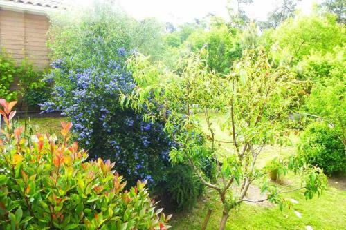 Villa Sunshine C�t� Lac