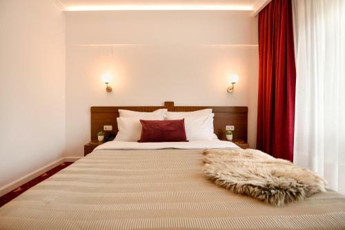 Apartamento Wild & Free - Ideal Room With A View