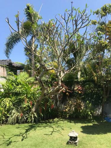 Desa Naga Villa