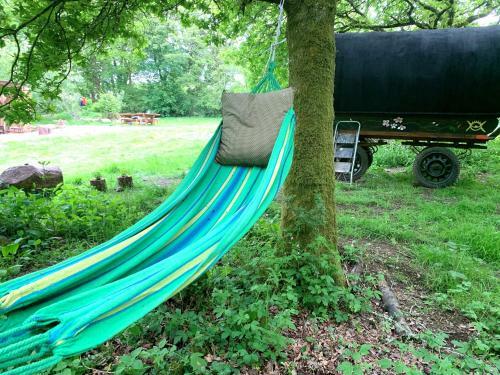 Genuine Gypsy Wagon And Glamping In Private Field
