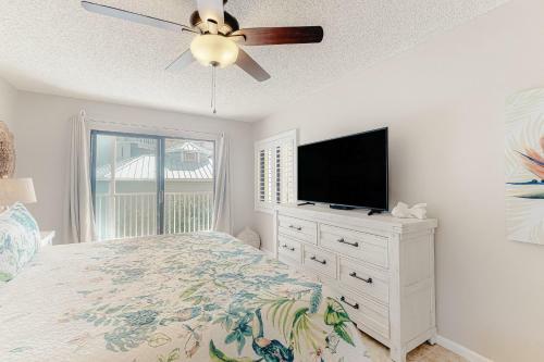 Sand Dollar 101