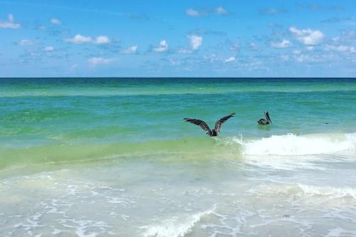 Redington Beach Villas 314