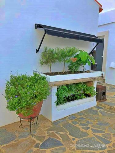 Bed & Breakfast Suite Strelitzia - Quinta Casalinho Da Azenha
