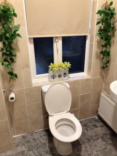 Apartamento ????-xinyi Inn With Free Wi-fi