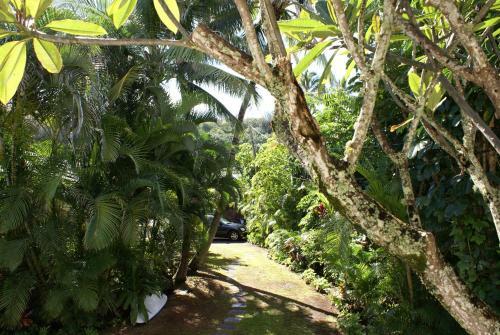 Waimea Point Oceanfront House - (with Air Conditioning)