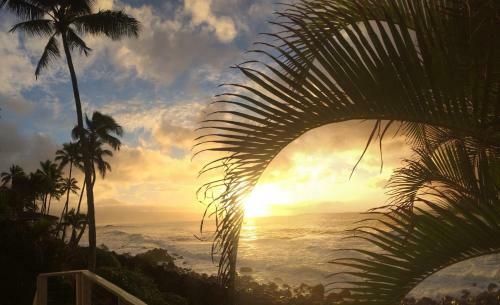 Waimea Point Oceanfront House - (with Air Conditioning)