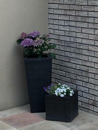 Ferienhaus Treis