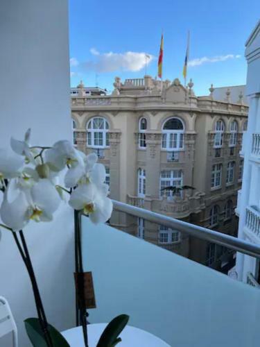 Exclusivo Apartamento En El Coraz�n De La Capital