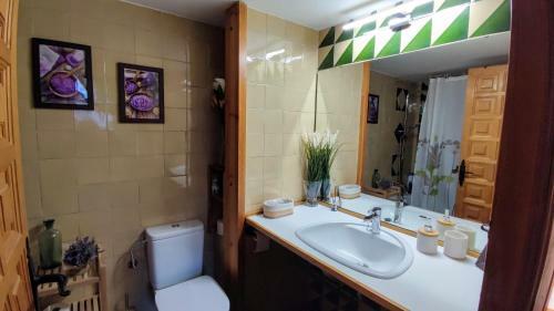 Apartamento El Niuet -acollidor �tic-d�plex C�ntric Amb Vistes