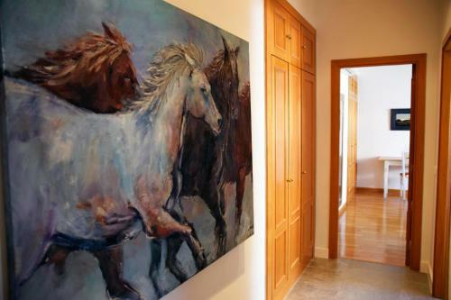 Apartamento Caballos - Ole Solutions