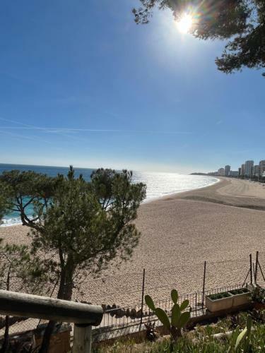 Precioso Apartamento En Primera L�nea De Mar