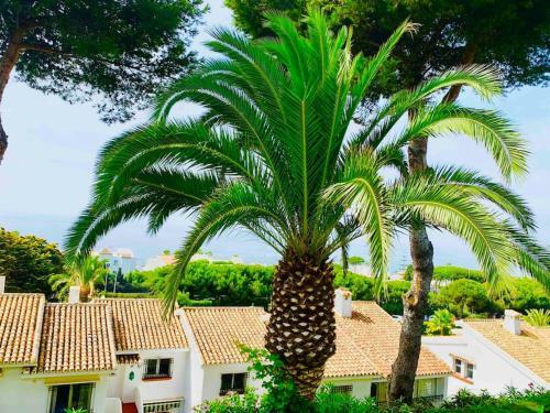 Luxurious 2 Bed Apartment With Amazing Beach Views