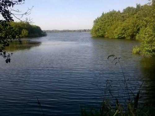 G�te L�on, 3 Pi�ces, 4 Personnes - Fr-1-360-715