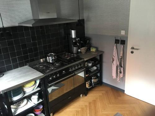 Apartamento Beautiful Big House With Garden
