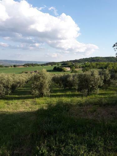 Apartamento Le Mas Des Meras - Gite C�t� Mas