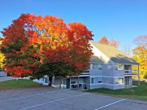 Killington Center Inn & Suites By Killington Vr - Studios
