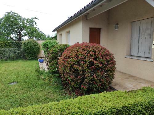 Location De Vacances